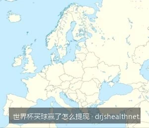 大额无忧：如何选择提现最快且安全的世界杯买球平台